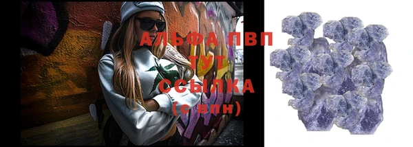 индика Беломорск