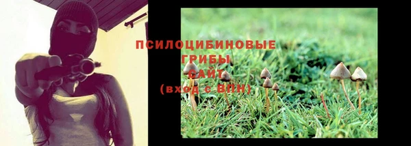 индика Беломорск