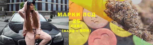 индика Беломорск