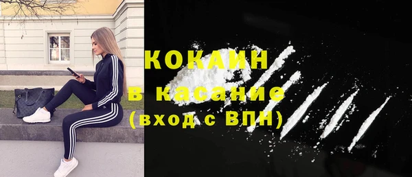 индика Беломорск