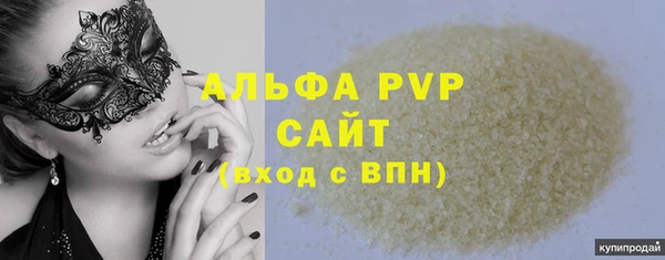 индика Беломорск