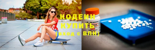 индика Беломорск