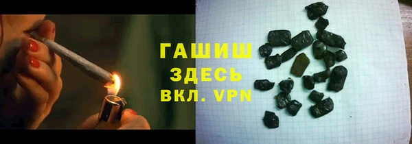 индика Беломорск