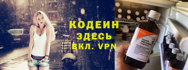 индика Беломорск