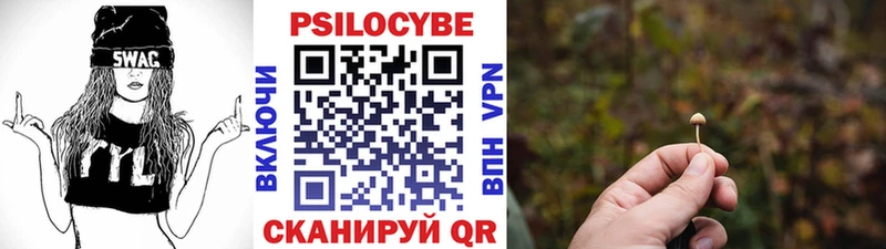 Галлюциногенные грибы Psilocybine cubensis  купить  цена  Невель 