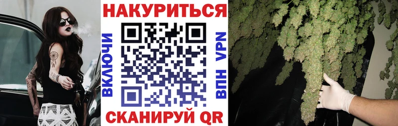 ссылка на мегу как войти  Невель  Бошки марихуана Ganja 